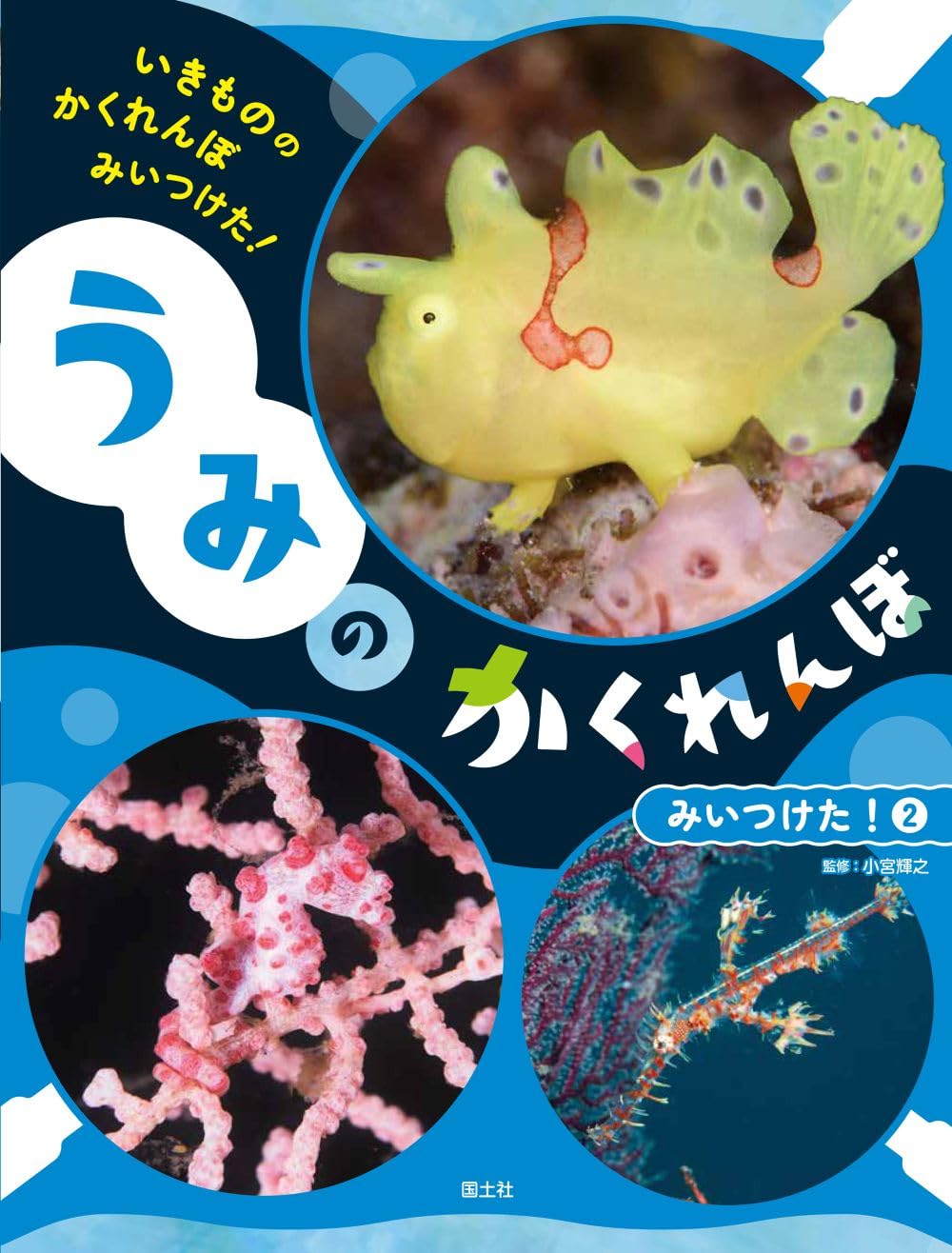 うみの かくれんぼ みいつけた!2 (いきもののかくれんぼみいつけた! 2